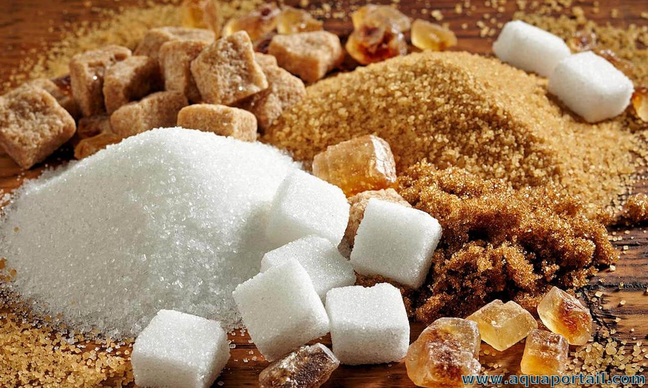 Le sucre, un poison quotidien dénoncé par un médecin endocrinologue